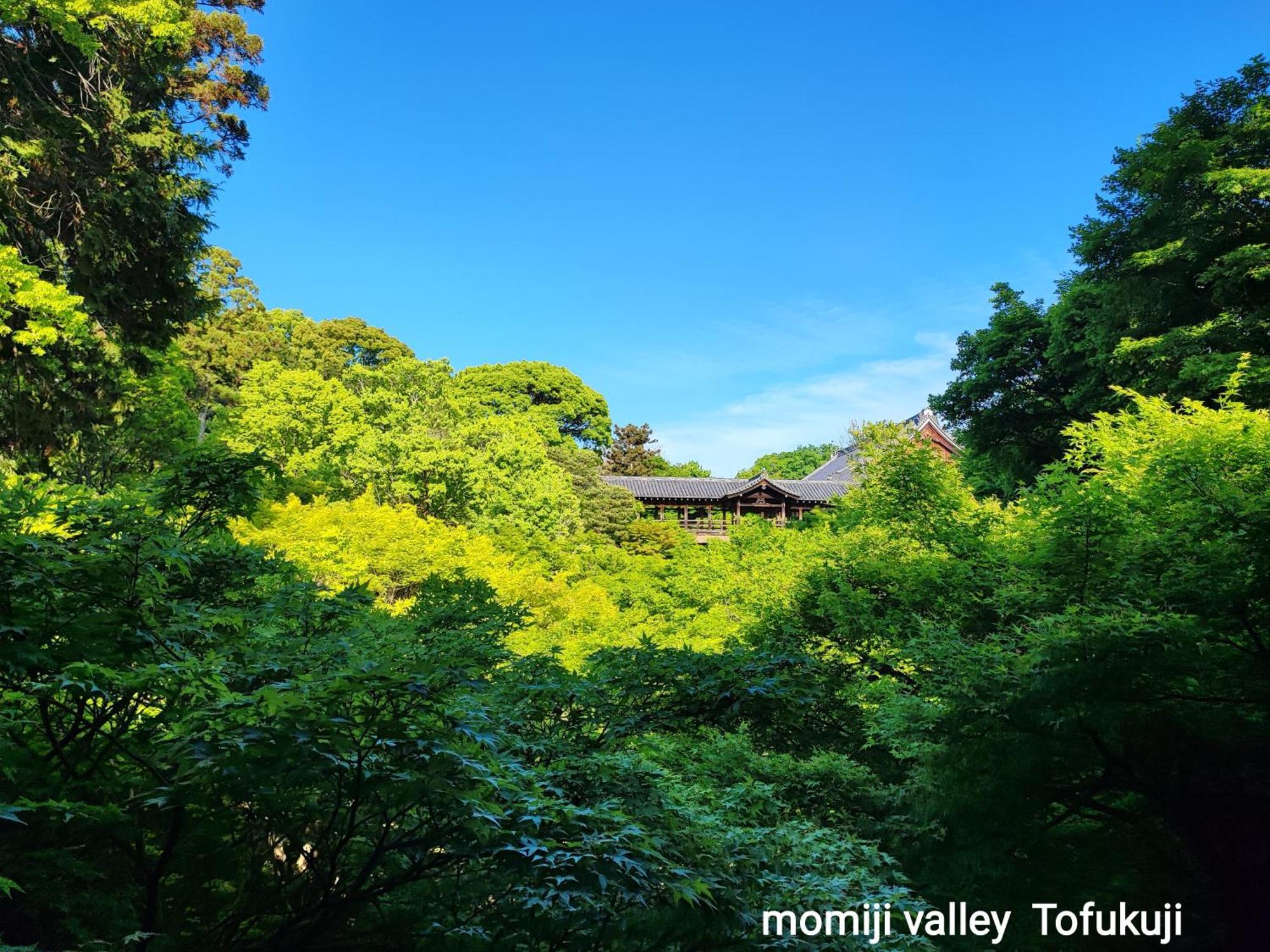 Walker House Kyoto 65 Square Meters Whole Villa Rent Luaran gambar