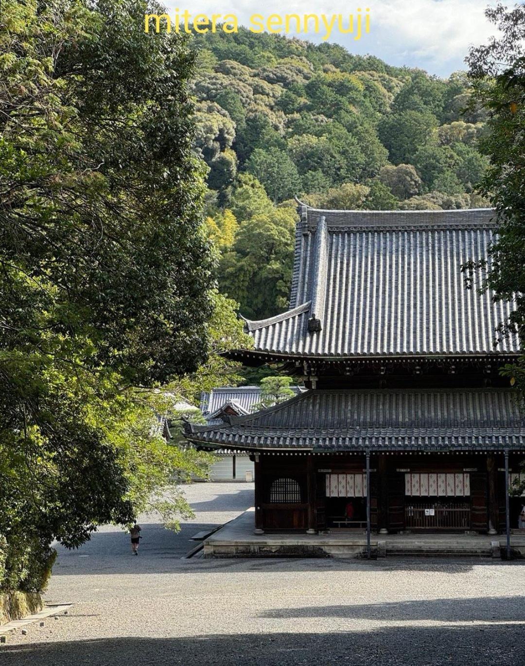 Walker House Kyoto 65 Square Meters Whole Villa Rent Luaran gambar